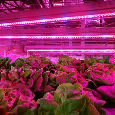 led植物软灯条全光谱红蓝植物生长灯 蔬菜育苗大棚日光补光灯办公