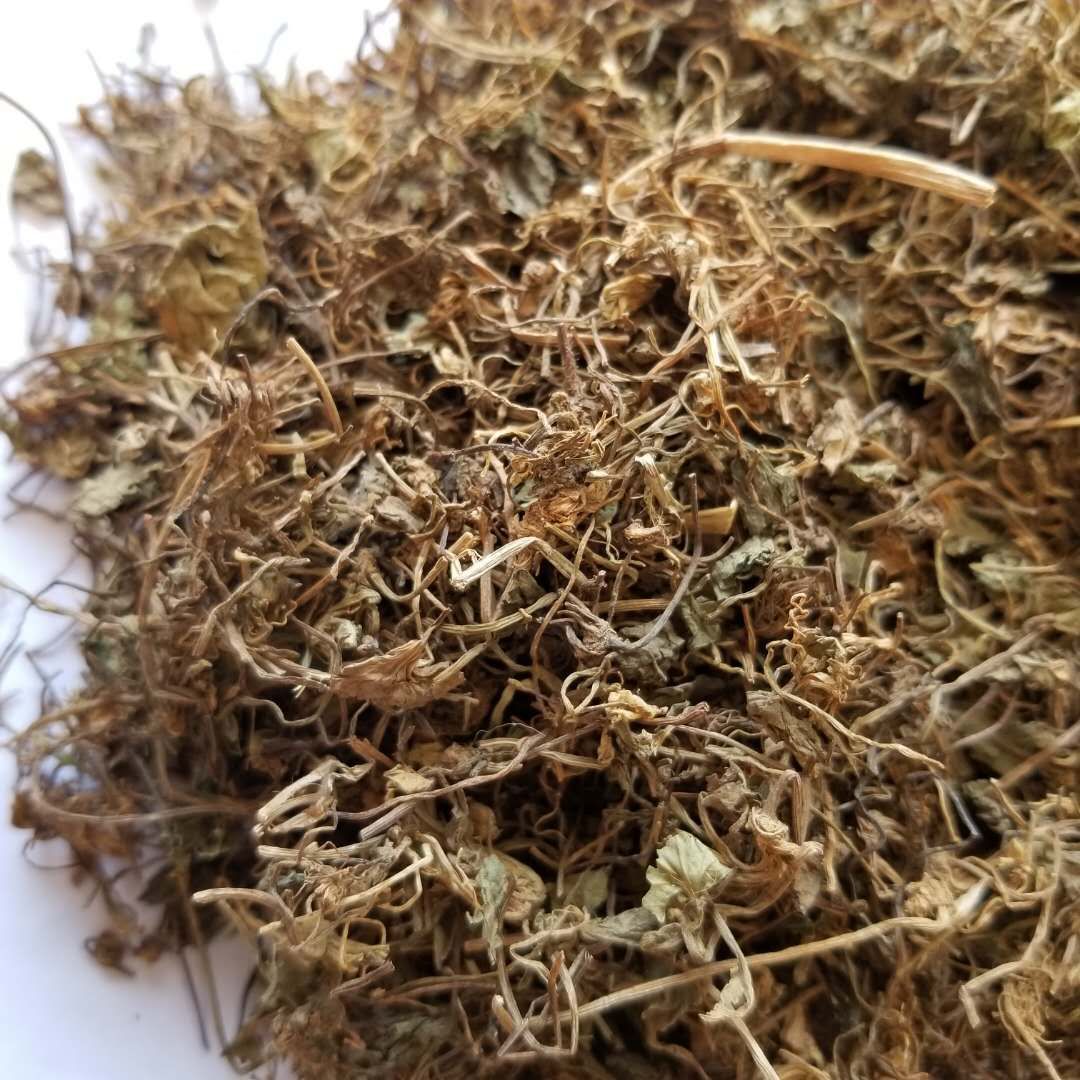 批发供应落得打积雪草崩大碗雷公根破铜钱连钱草