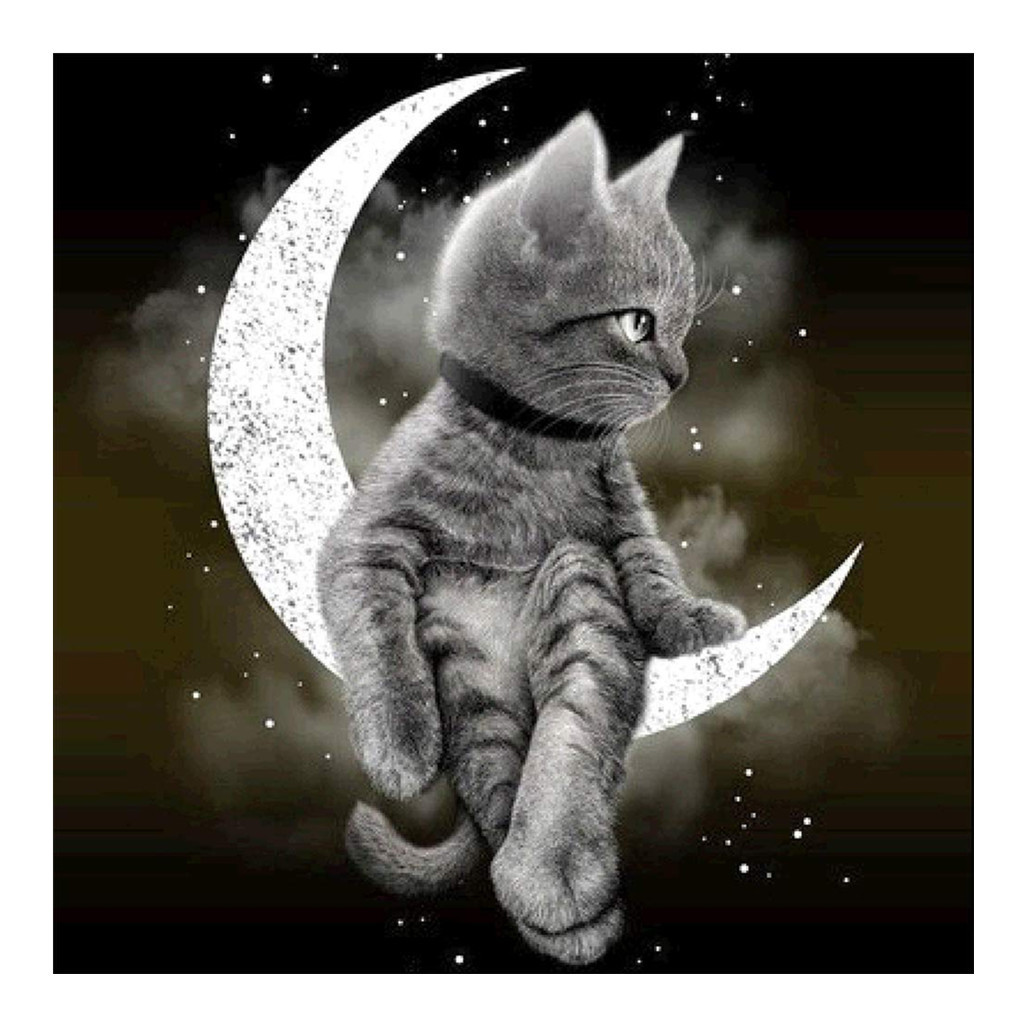 5d魔方圆钻石画出口外贸儿童节日礼物 月亮可爱猫 贴钻十字绣