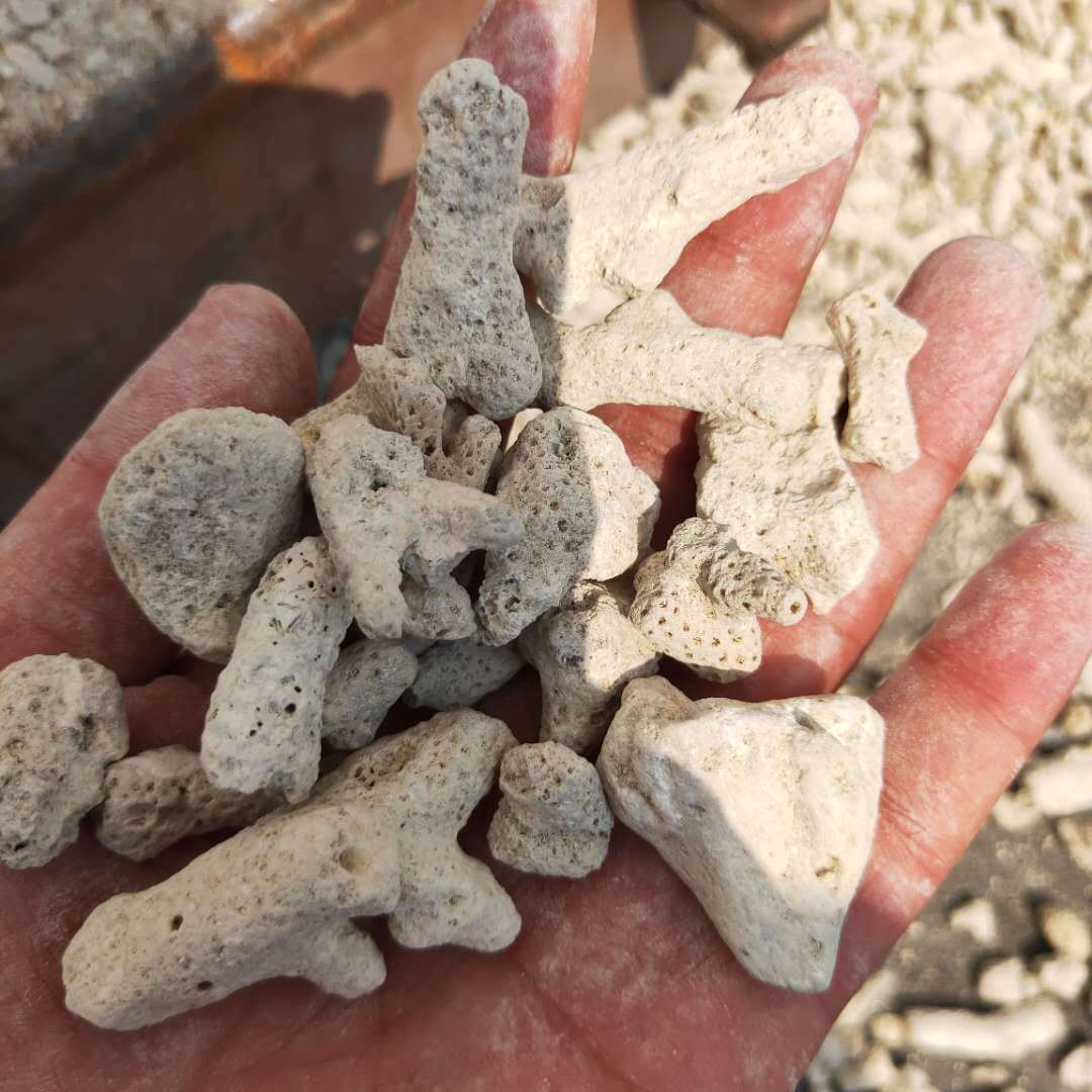 珊瑚沙 珊瑚砂 珊瑚石 水族过滤调节水质专用 珊瑚骨