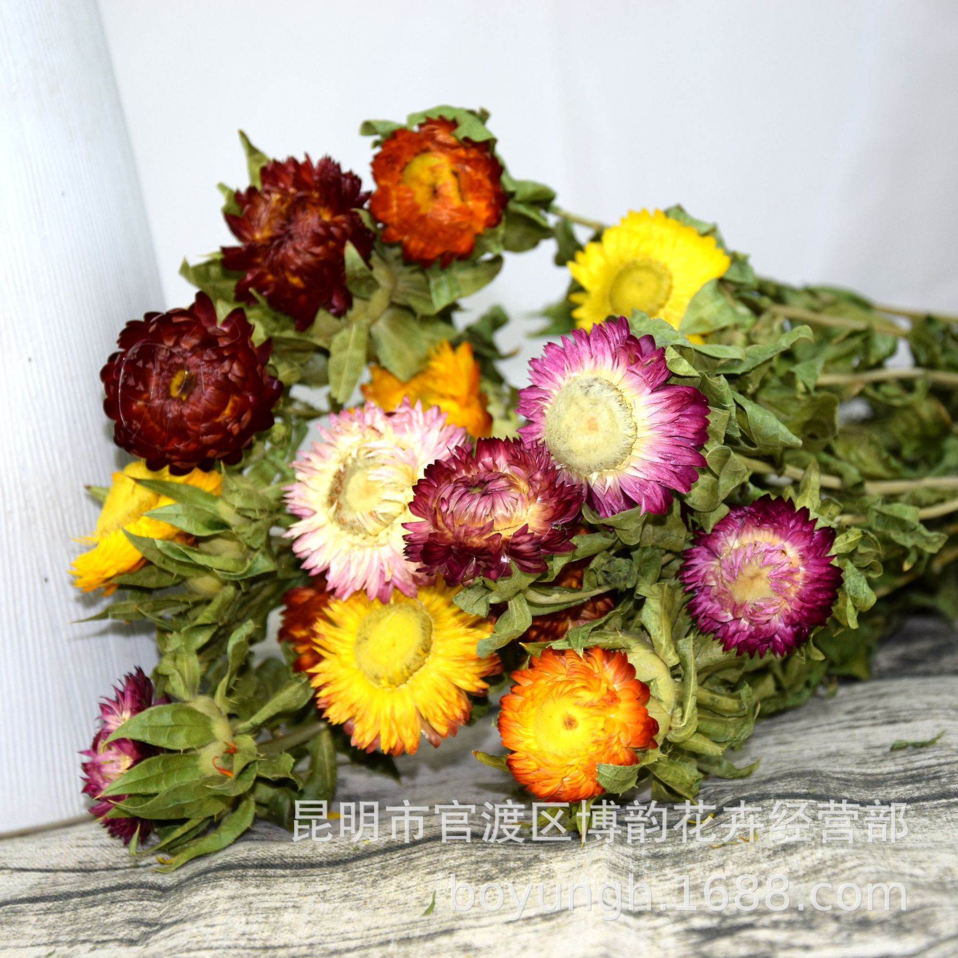 【菠萝菊】云南手工干花麦秆菊百搭插花装饰拍摄道具 一手货源