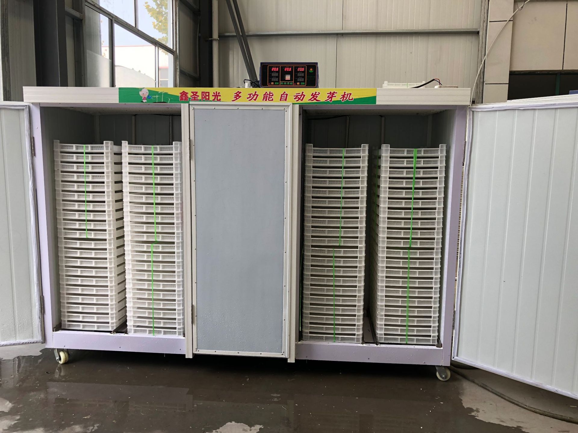 全自动芽苗菜发芽机 豌豆苗催芽机 种子催芽机 糙米发芽机