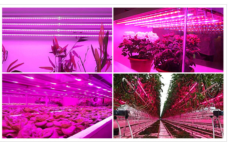 led植物生长灯 t8一体化灯管全光谱植物灯多肉花卉育苗温室补光灯