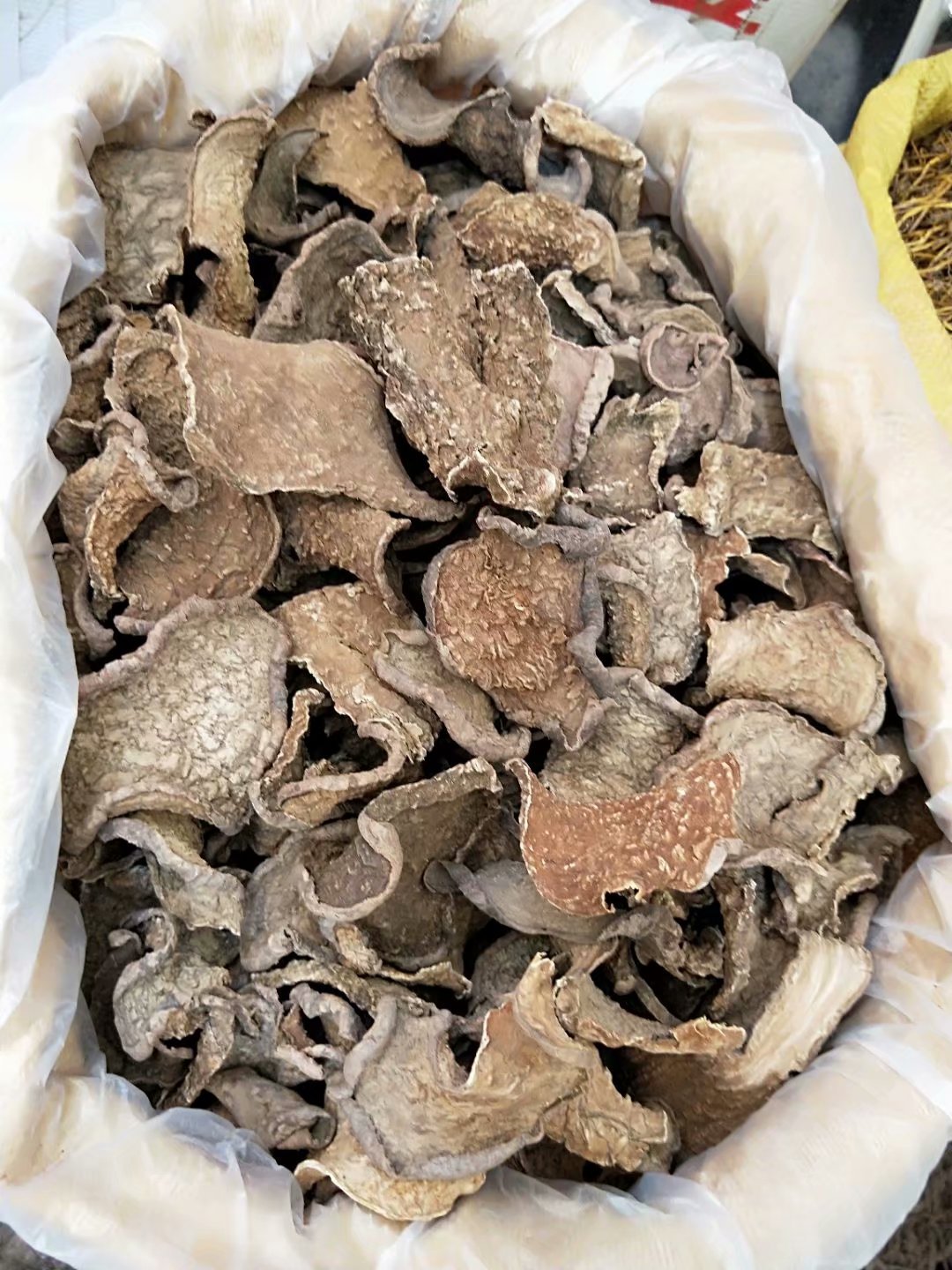 中药材金不换 山乌龟 每件500克