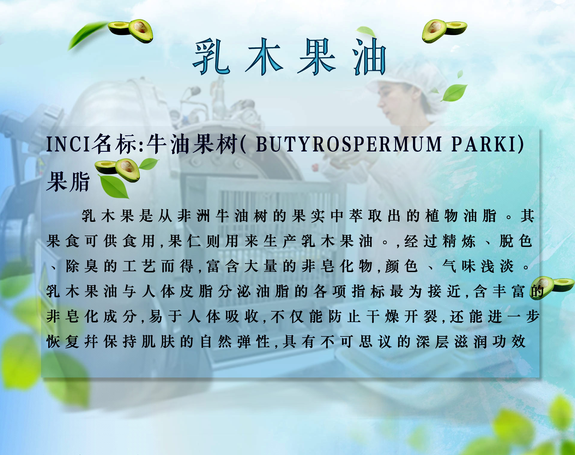 批发乳木果油 精制牛油果树果脂植物油脂 易吸收适用于各种化妆品