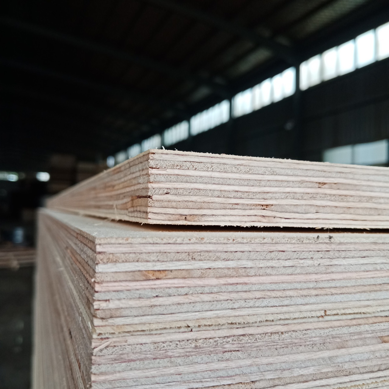 高档定制异形家具板 优质防水e0级 高档胶合板 家具板 全桦木板