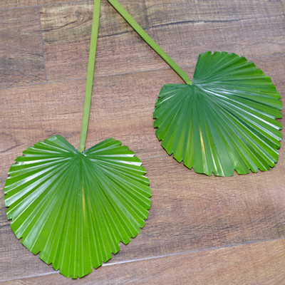 【厂家直销】仿真粽叶扇尾叶棕榈叶椰子树叶仿真芭蕉扇叶
