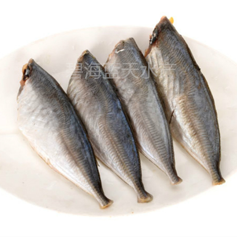 新鲜冷冻三去巴浪鱼沙丁鱼黄占鱼去头去内脏食堂快餐海鲜食材水产