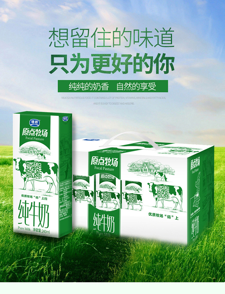 银桥乳业 原点牧场营养纯牛奶早餐奶鲜牛奶盒装 240ml*12盒整箱装