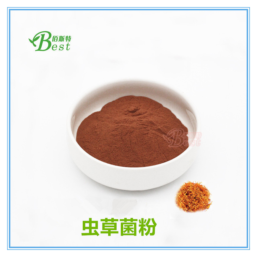 免费拿样发酵虫草菌粉cs4蝙蝠蛾拟青霉菌丝体粉欢迎采购