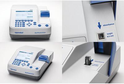 大量现货eppendorf biophotometer d30核酸蛋白测定仪艾本德 d30