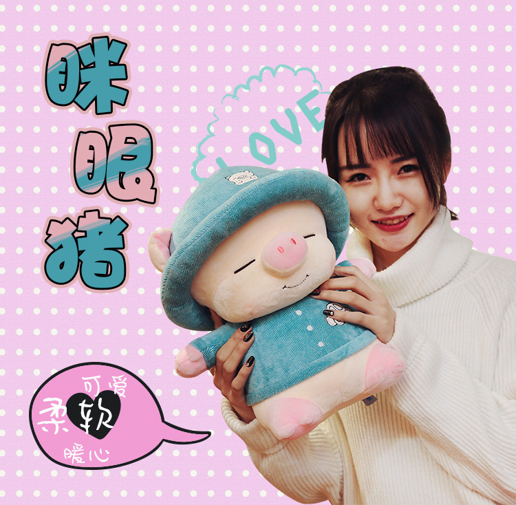 批发 新款可爱卡通流氓猪毛绒玩具 萌宠麦兜猪公仔 节日礼物玩偶