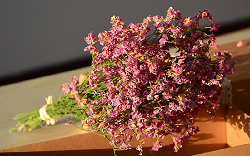 水晶草干花花束昆明彩色水晶草自然风干 永生花迷你批发仿真干花