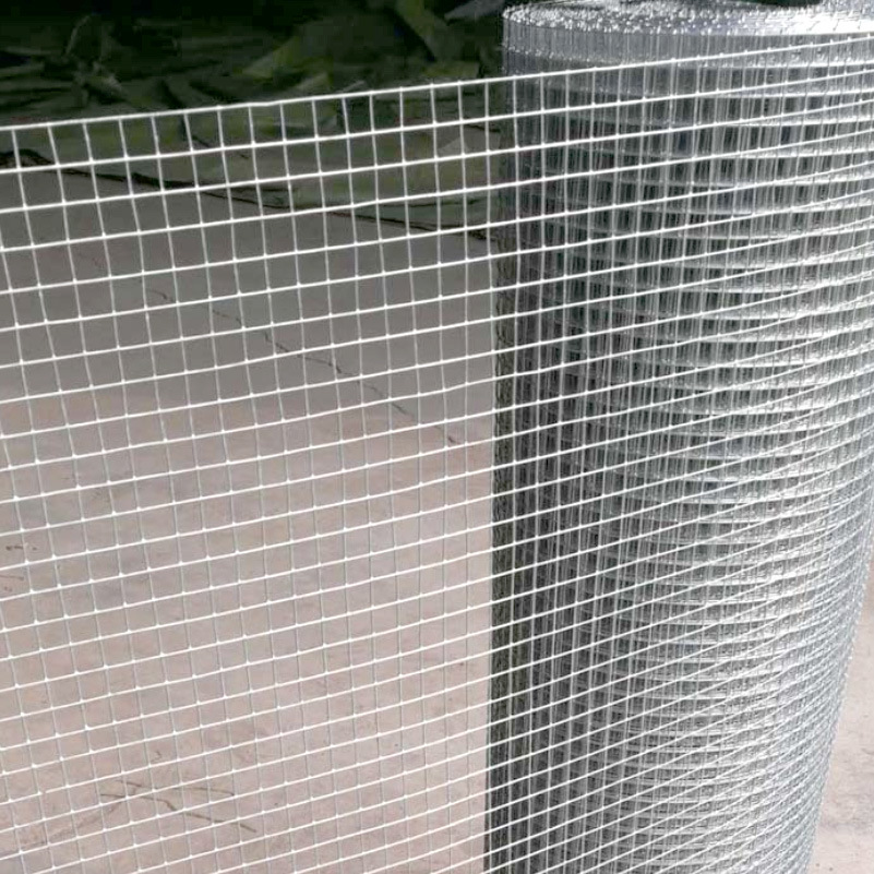 广东电焊网墙面细铁丝网格 热镀锌焊接防鼠笼子养殖网 钢丝网片