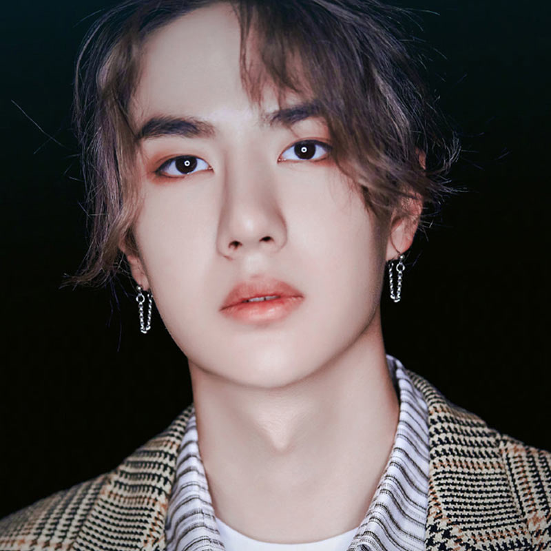 古猫宁 极简后挂式链条耳钉个性百搭男女耳坠耳饰王一博同款耳环