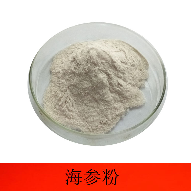 现货供应海参粉海参蛋白粉海参粉