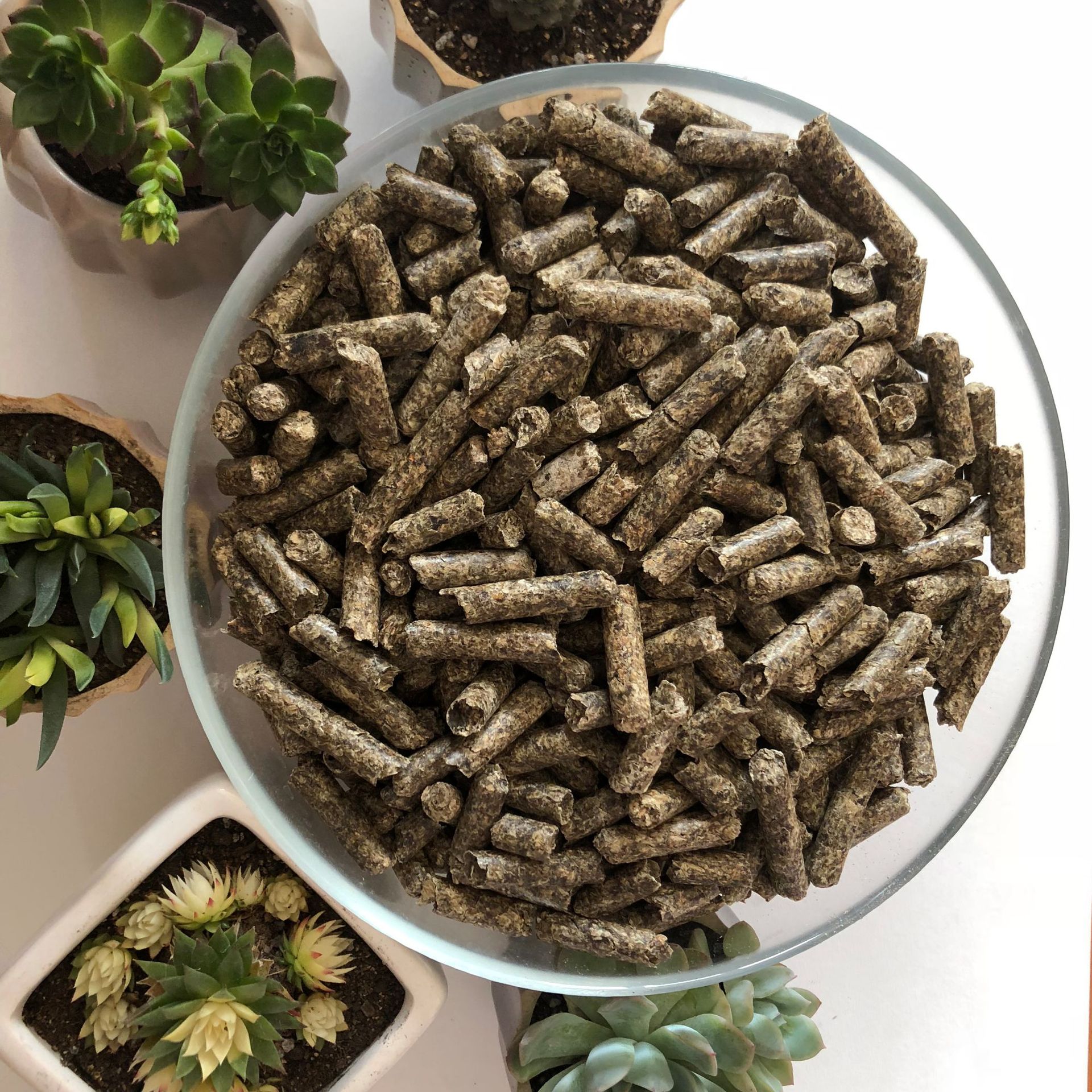 新货颗粒粕 甜菜渣 甜菜粕颗食用菌栽培,饲料添加剂