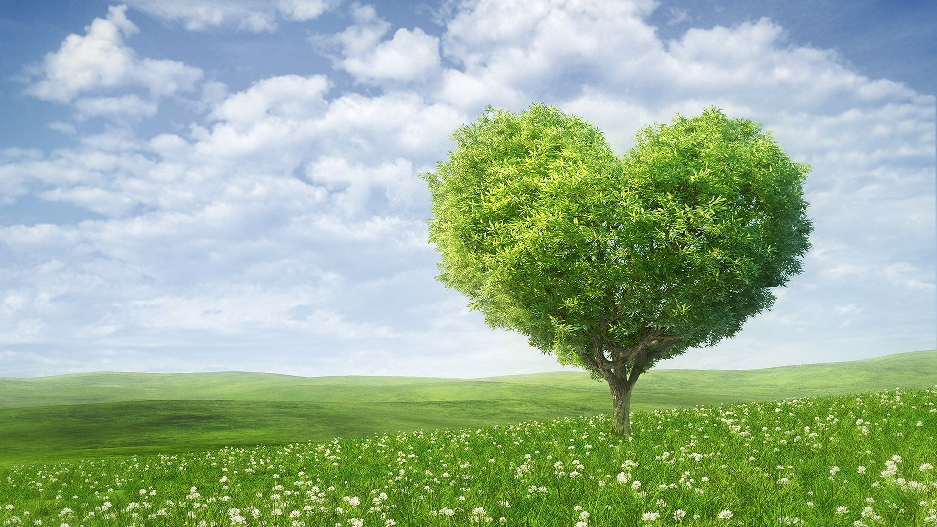 补差价链接_mini2ipad_mini3ipad - 阿里巴巴