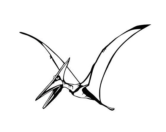 飞龙 翼龙恐龙图案精雕款男孩卧室装饰墙贴