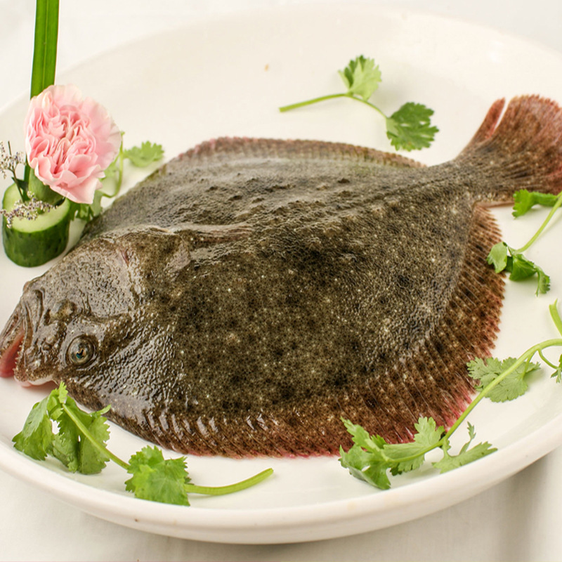 连云港海鲜,大量供应各种规格多宝鱼丶野生石江鱼,鲜活大菱鲆
