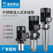 CRK2-20/30/40/50/60不锈钢液下泵机床泵浸入式多级离心泵
