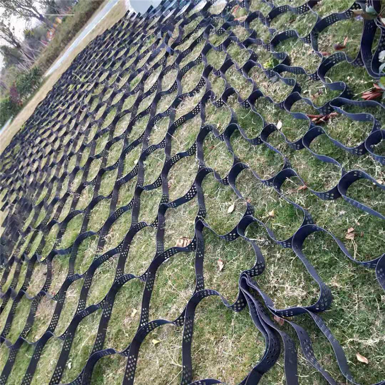 边坡固土塑料土工格室鱼塘堤坝防护防滑土工网格蜂窝约束土工格室