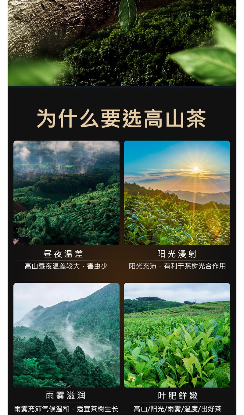 2022新茶红茶正山小种野茶古法窖制浓香型送礼盒装罐装新茶叶250g