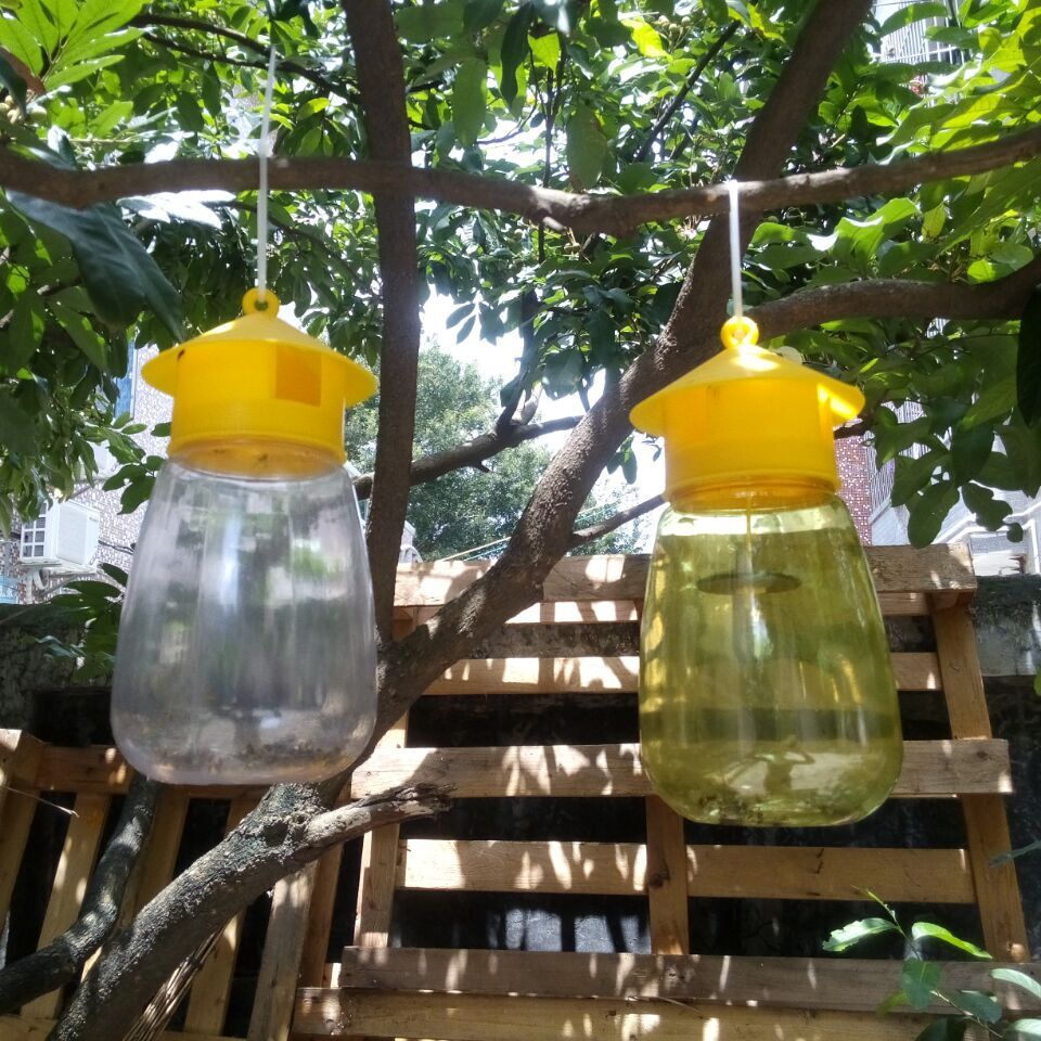 包邮 果蝇诱捕器果园菜地瓜果实蝇针蜂 果蝇引诱剂内含捕抓器诱剂