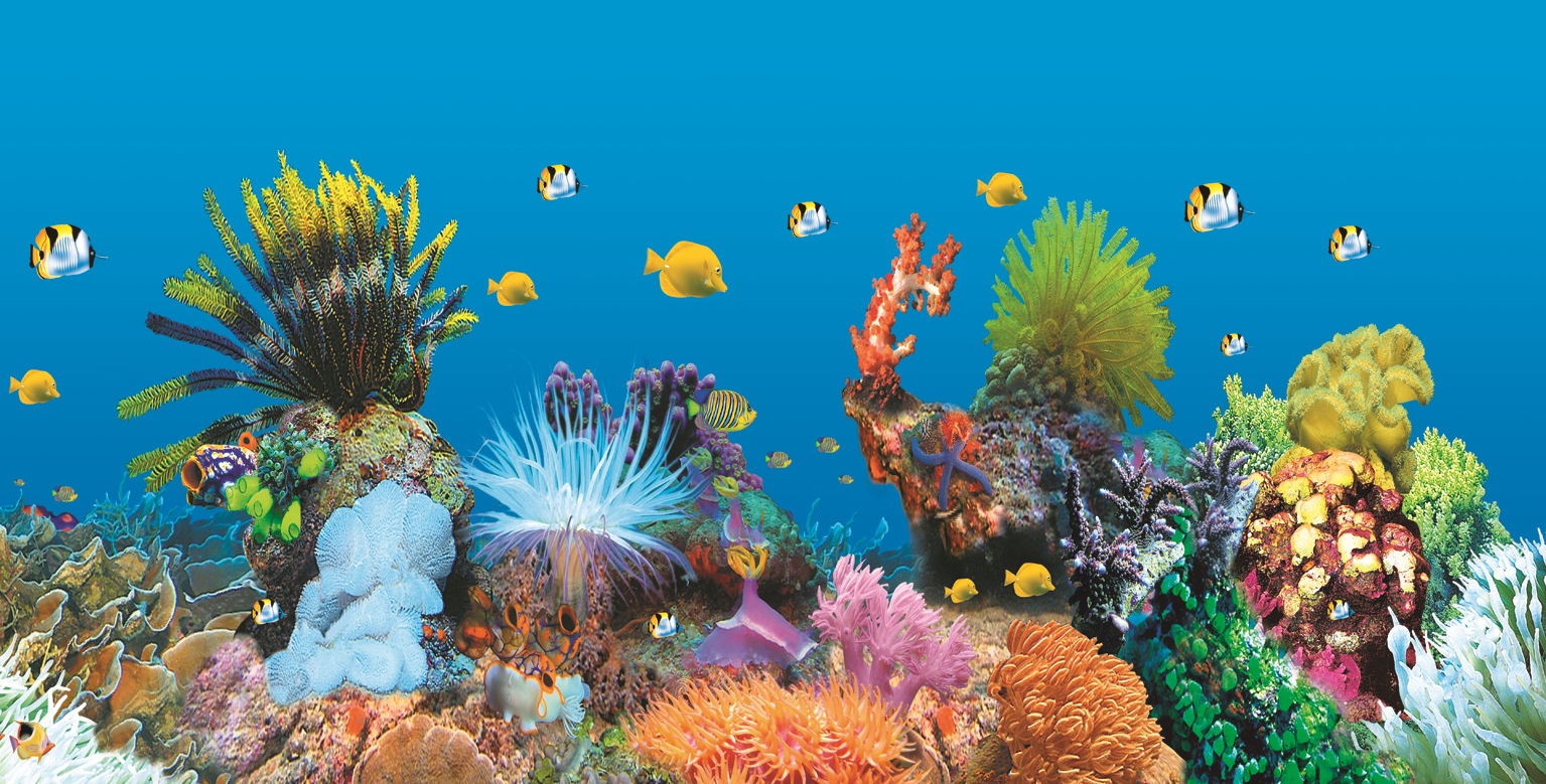 彩色印制宽幅鱼缸双面画海景画背景画蓝黑卷轴画静电膜贴画