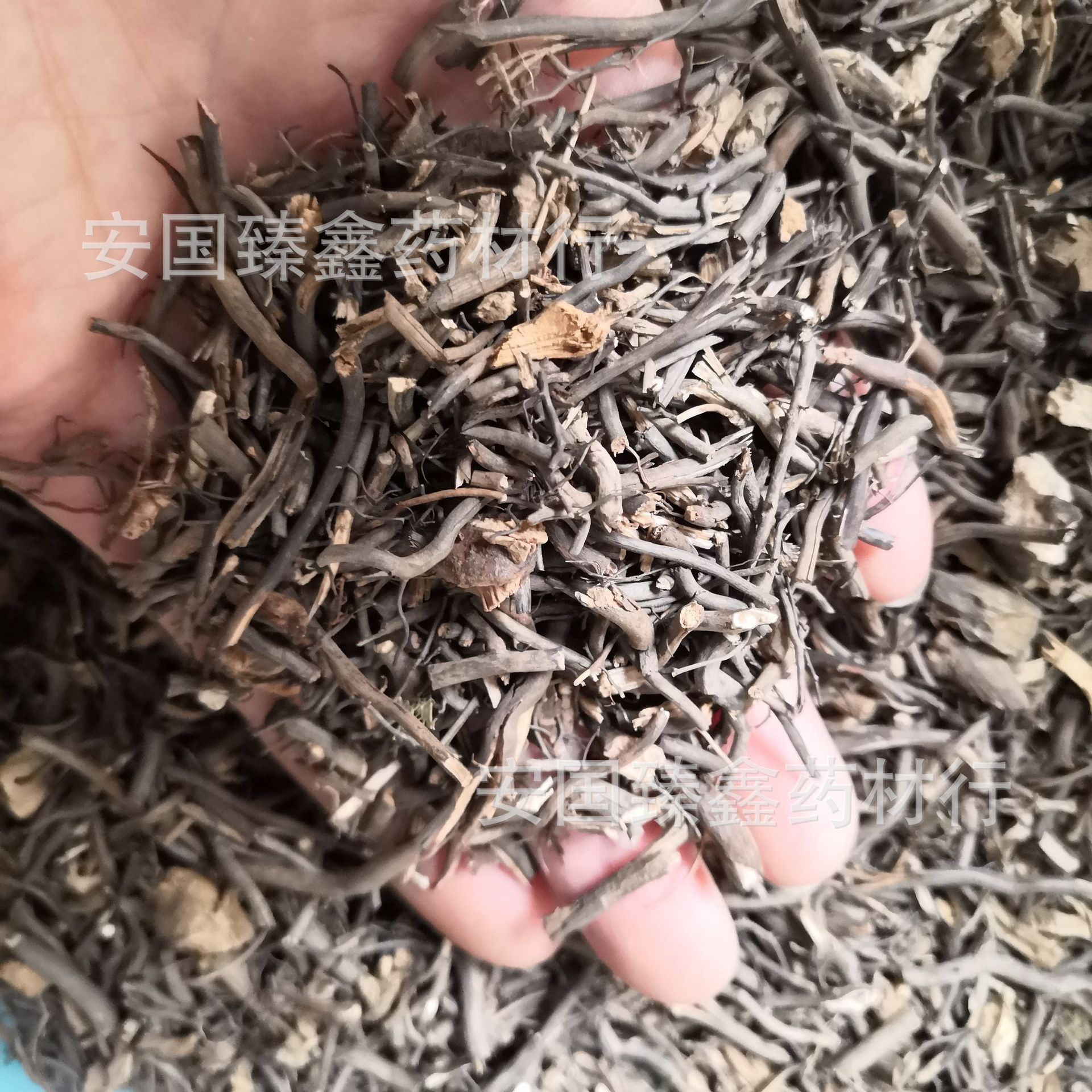 中药材铁篱笆铁篱笆根另有刺梨根
