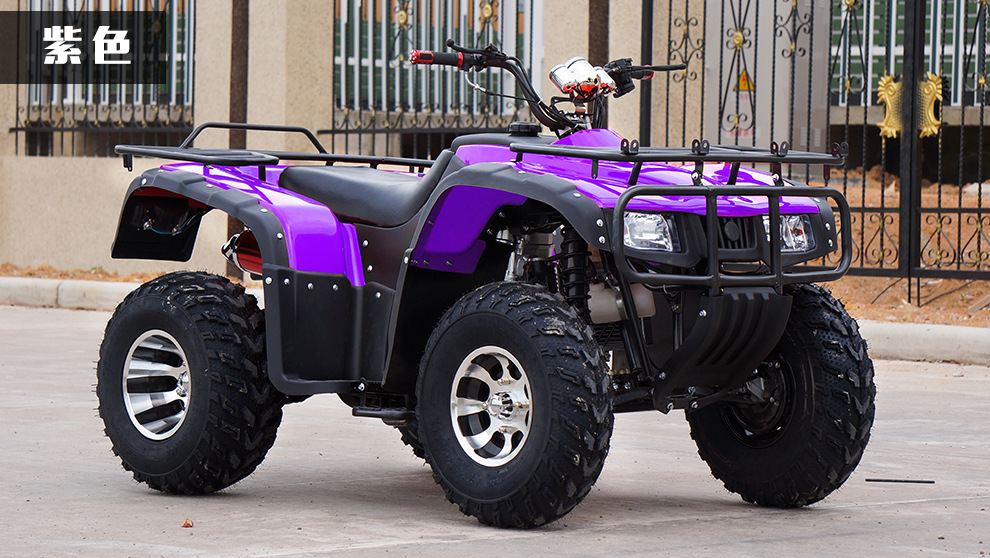 龙鼎大型沙滩车 四轮越野摩托车 四驱250cc水冷全地形atv山地车