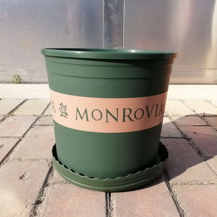 环球加仑盆 花盆 塑料月季绿萝花卉圆形盆特大号盆园艺种植盆托盘