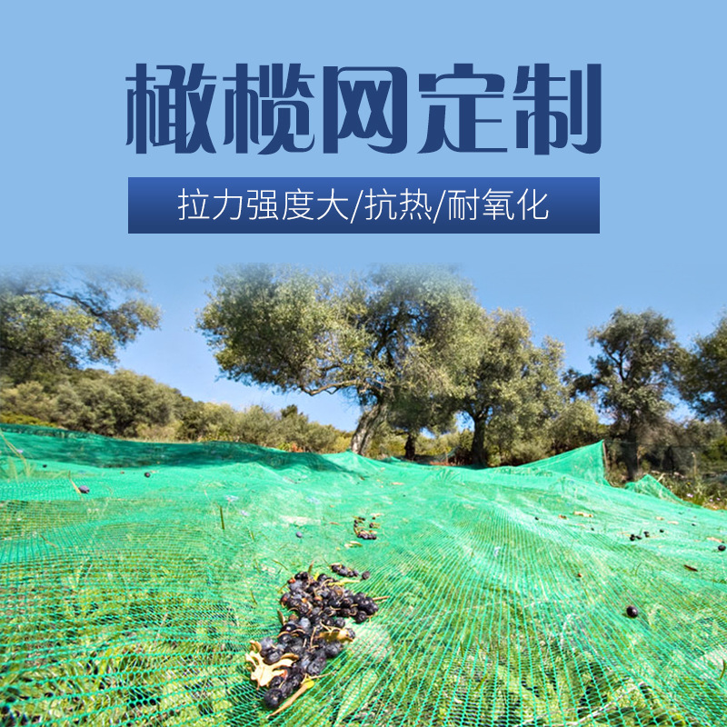常州厂家生产销售 新料墨绿橄榄网 榛果 栗子采摘网 果实收集网