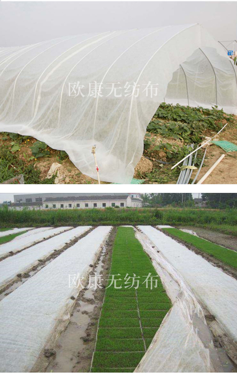 厂家加工农用无纺布pp纺粘无纺布育苗防寒布 保温农用不织布批发