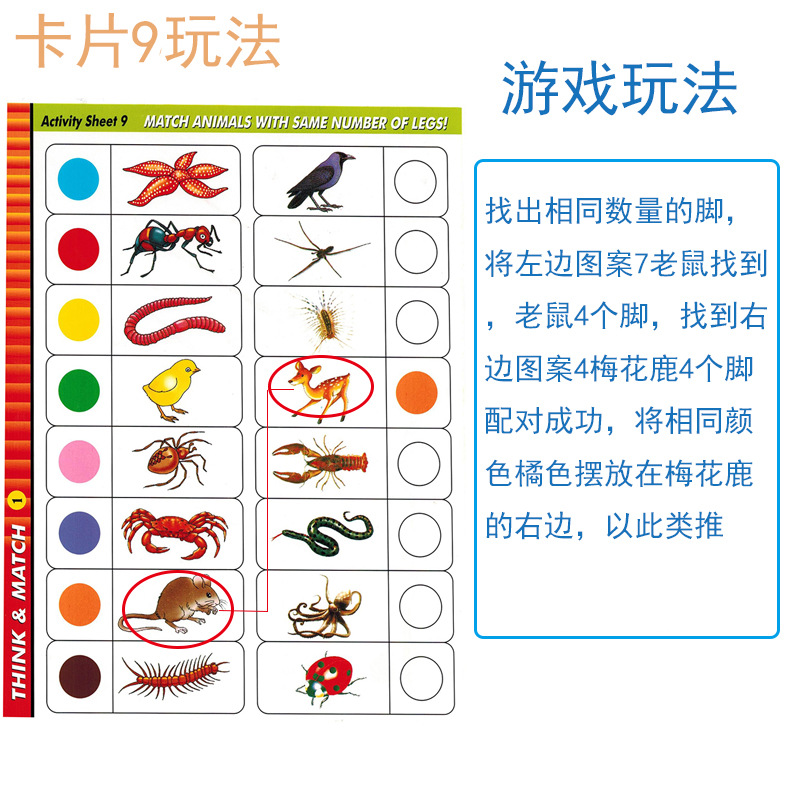 匹配玩具桌面游戏形状颜色幼儿园早教认知识别学习卡片配对连连看