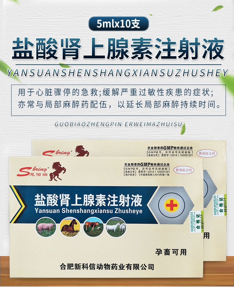 兽药盐酸肾上腺素注射液马牛羊猪犬用过敏性疾患心脏骤停急救应激