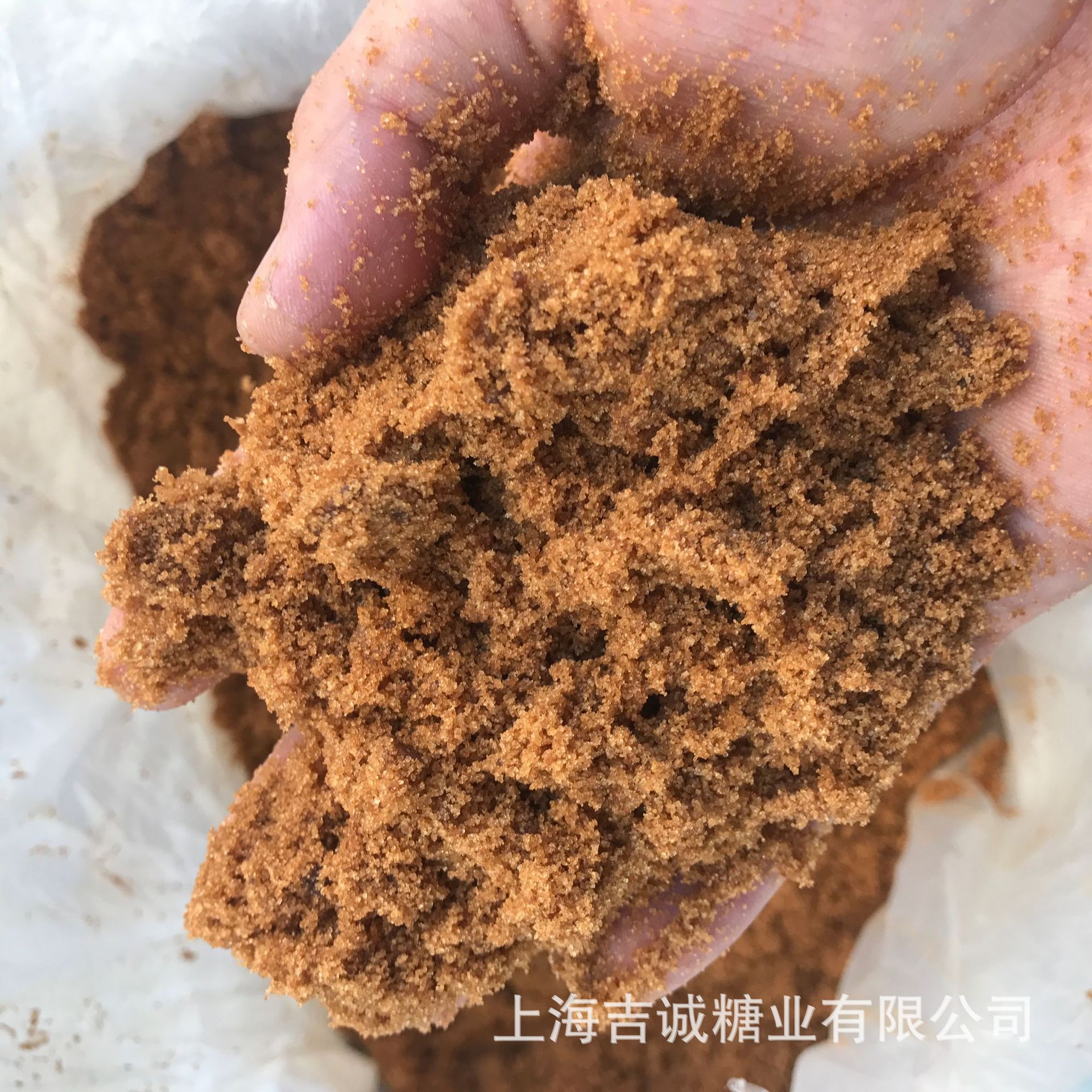 广西南宁古府牌赤砂糖黄糖红糖 50kg 散装厂家批发 暖胃女生用