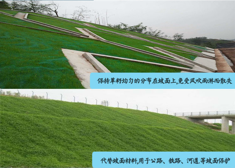 生态修复用三维植被网 三维土工网垫 植草护坡生态复绿em3 em5