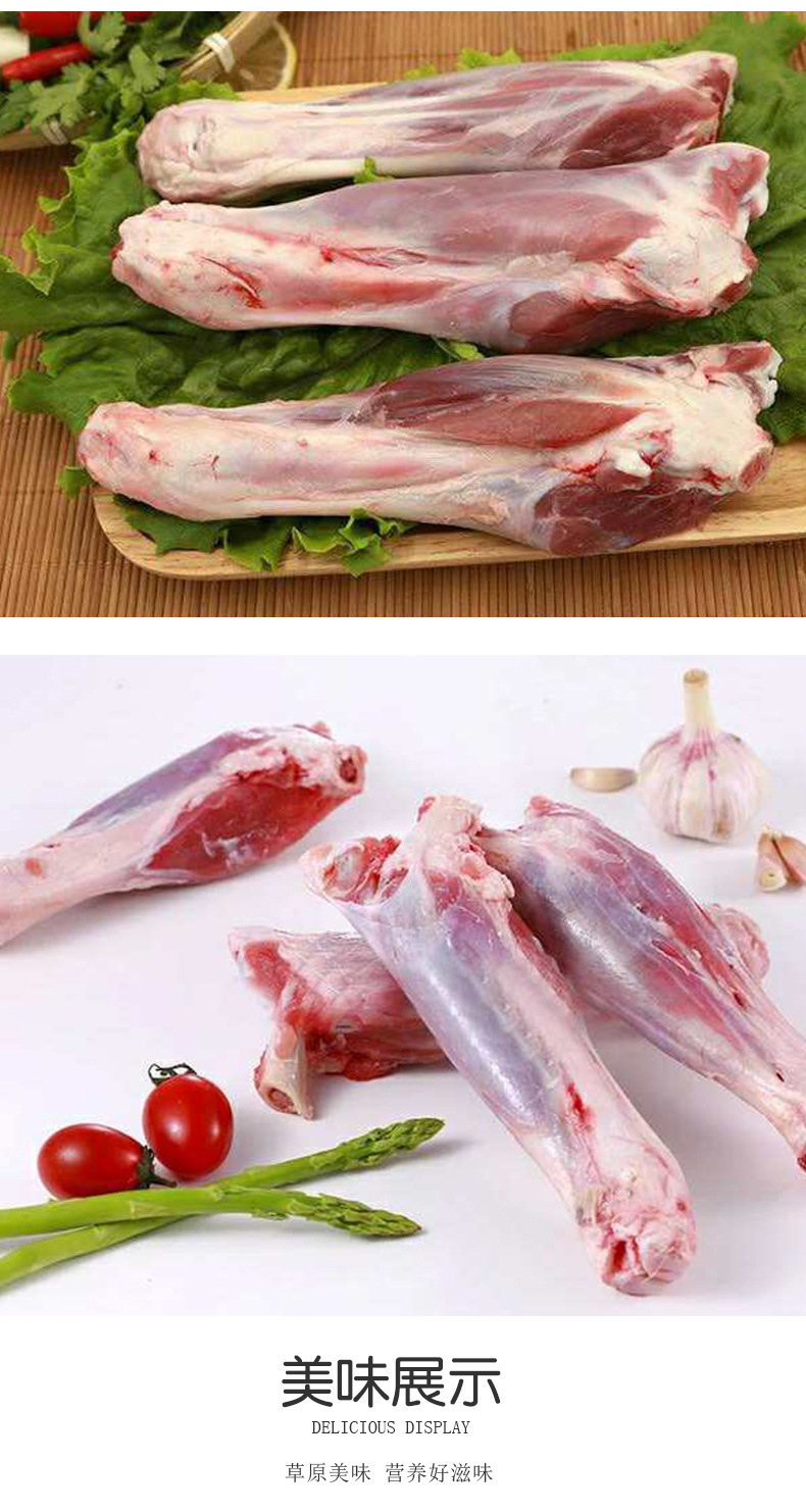 羔羊前棒骨 羊前小腿内蒙羊肉 草原散养烧烤羊前棒羊棒骨新鲜