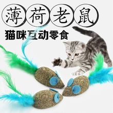 新品猫薄荷老鼠  逗猫玩具 猫猫洁齿磨牙棒零食 去毛球猫草批发