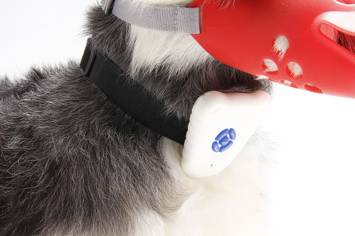 狗狗止吠器宠物用品电击宠物止叫器大中小型犬用现货跨境商品