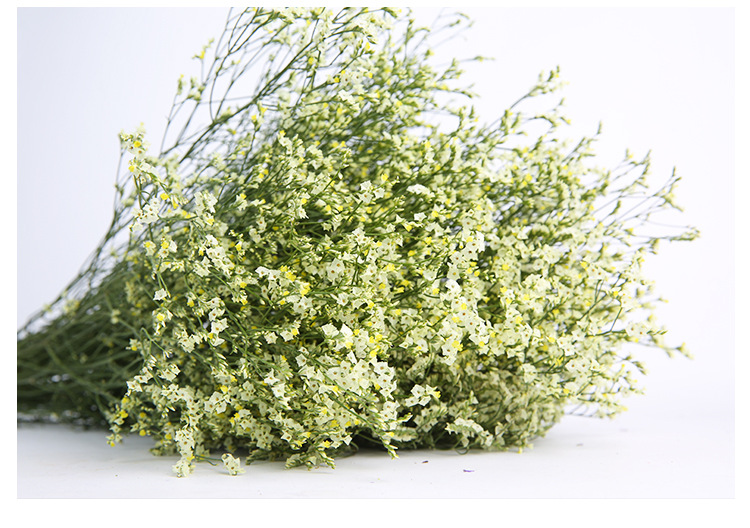 水晶草装饰花 花艺制品工艺品配花 鲜花晾干花束装饰花水晶草