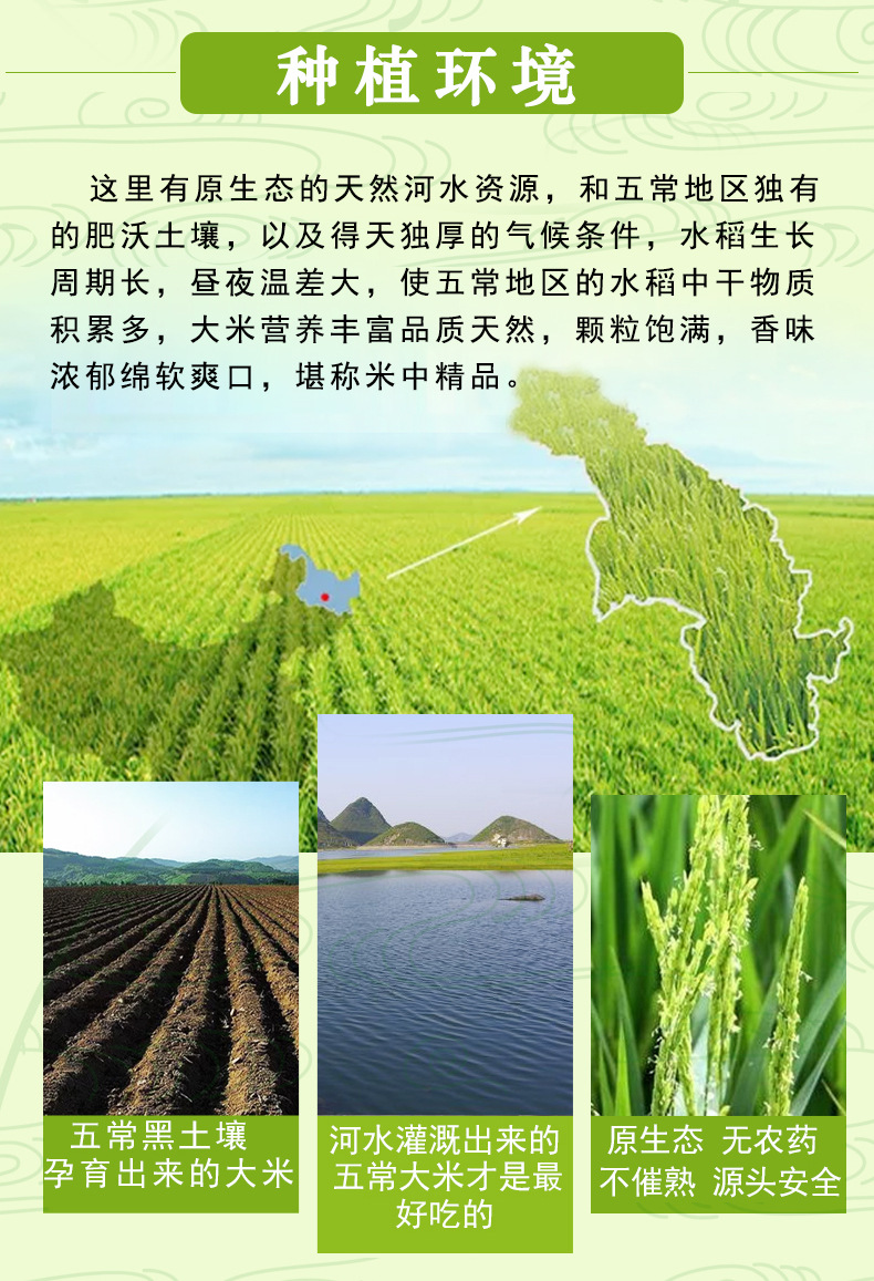 谷满穗东北香米大米10斤五常稻花香大米真空包装2019新米长粒香