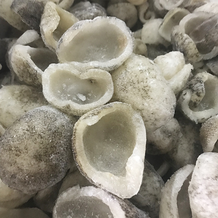 【大连即食珍珠球参 冻货包装即食海参500g 酒店用海参】价格_批发_厂