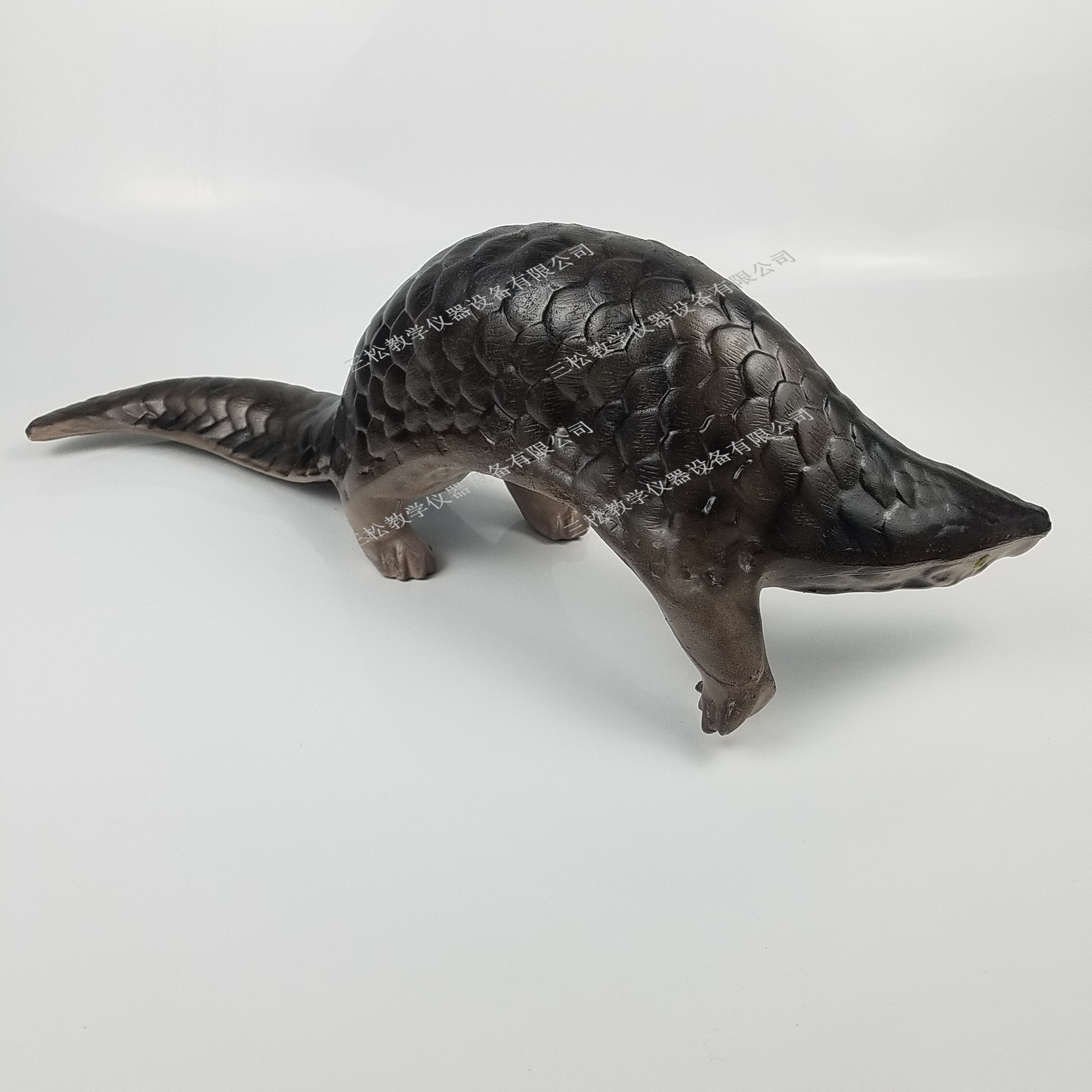 3235仿真穿山甲模型生物教学科教仪器初高中标本动物摆件展示