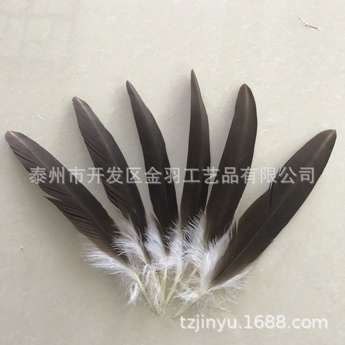 亚马逊跨境电商仿真老鹰毛 老鹰羽毛 羽毛 批发 价格优惠质量保证