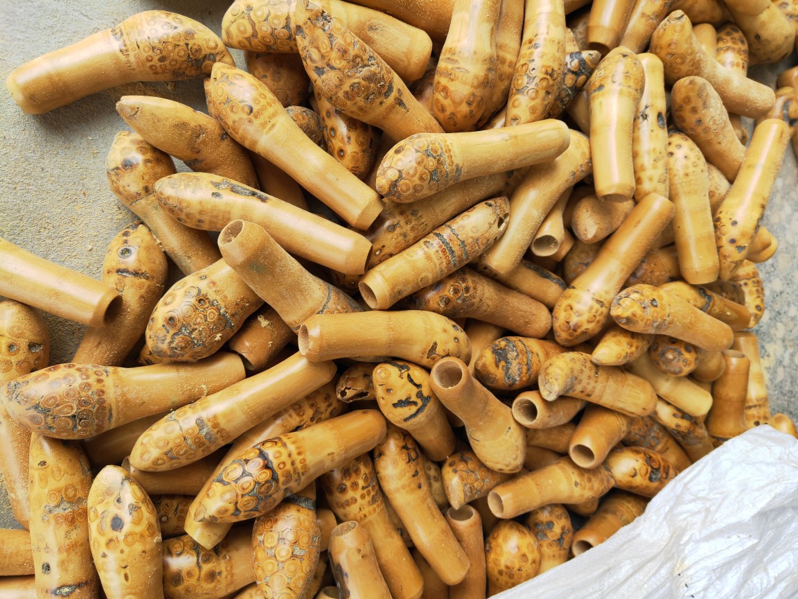 孟宗竹根头 根笔头 竹缏 竹根子