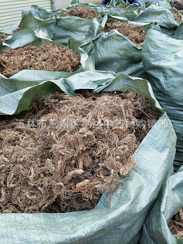 产地供应地胆头 草鞋根草鞋底清热降火 煲汤养生材料