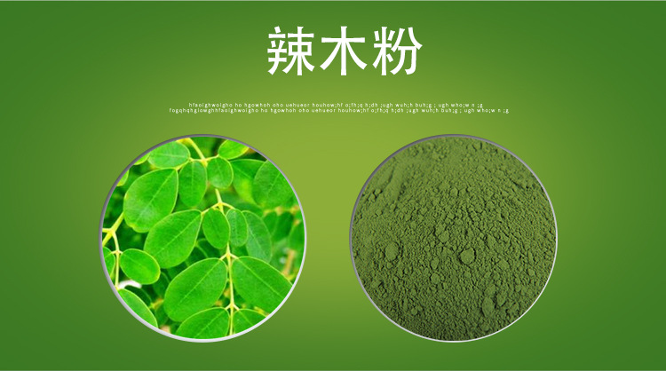 辣木粉99% 辣木叶提取物 辣木叶粉 厂家现货 包邮