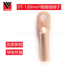 电力金具国标铜接线鼻子DT-120平方铜鼻子铜接线端子电缆附件